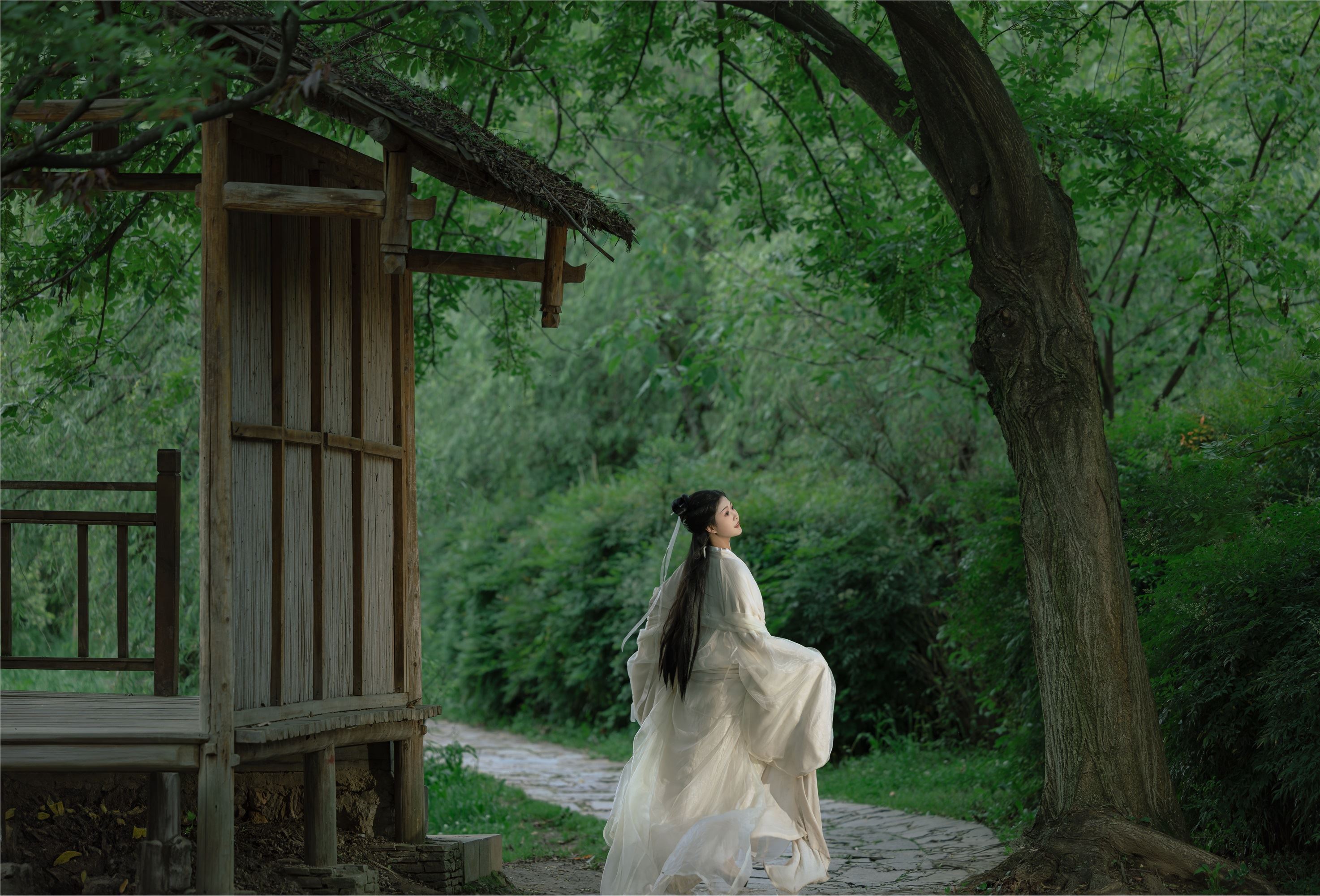 YITUYU艺图语 2025.01.26 夏日的风 若韵